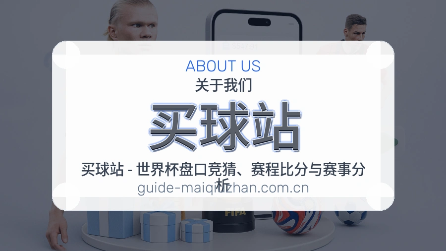 买球站 平台介绍配图